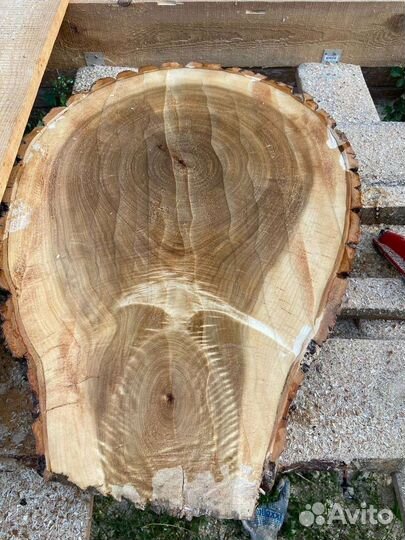 Слебы спилы дерева