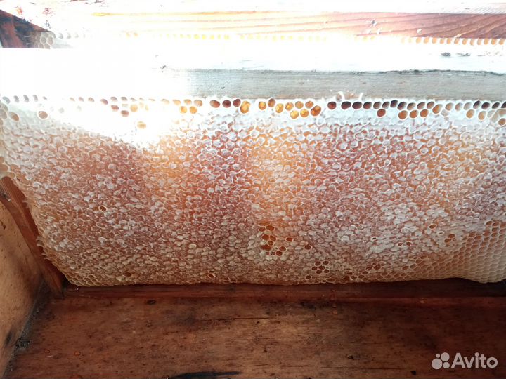 Мед домашний