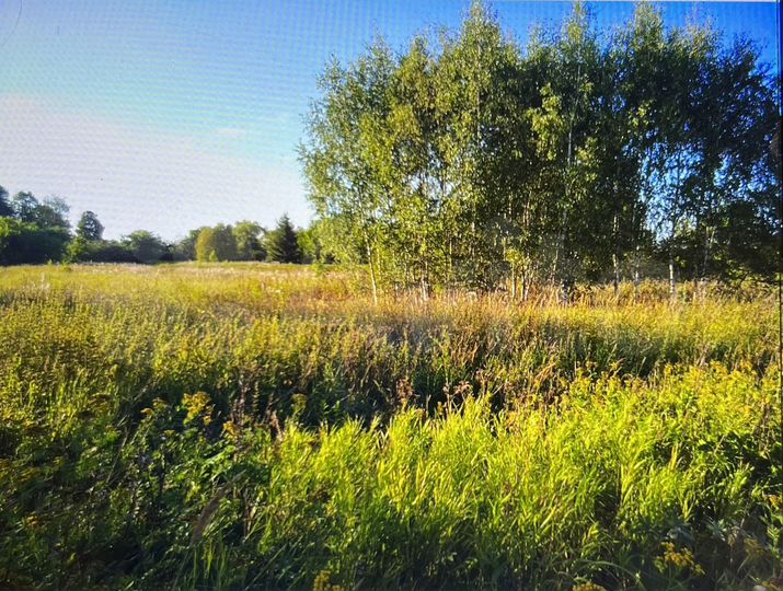 Участок 20 сот. (ИЖС)