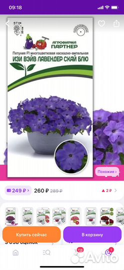 Черенки петунии