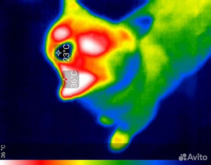 Диагностика помещений