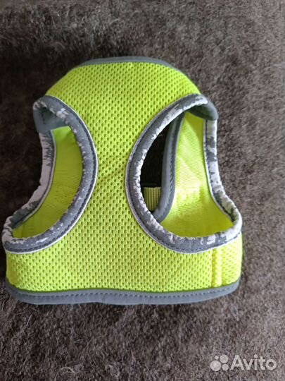 Одежда для щенков