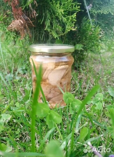 Печень трески