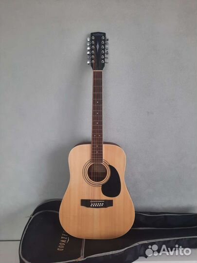 12 струнная гитара