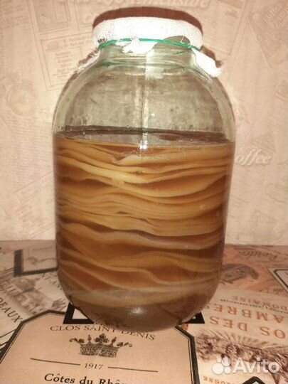 Чайный гриб (квас)