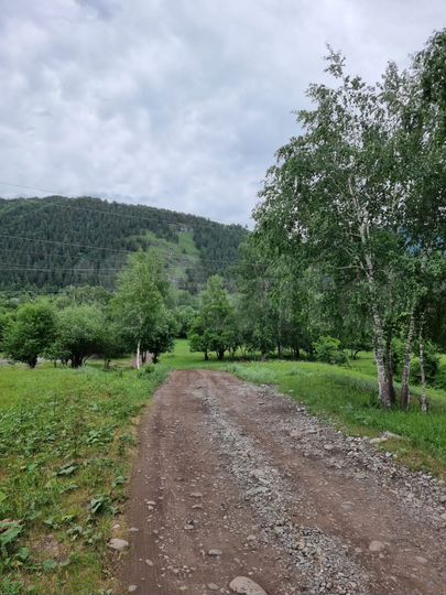 Участок 10 сот. (СНТ, ДНП)