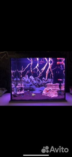Аквариум на 25 л