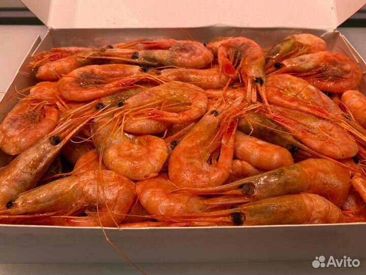 Креветка северная. Крупные. Промфлот
