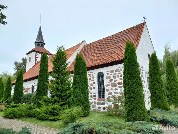 Экскурсии по Калининграду и области