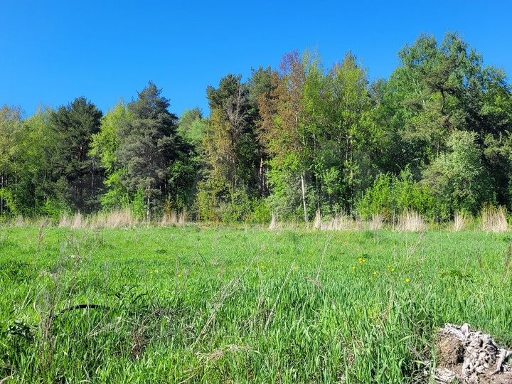 Участок 7,4 сот. (ИЖС)