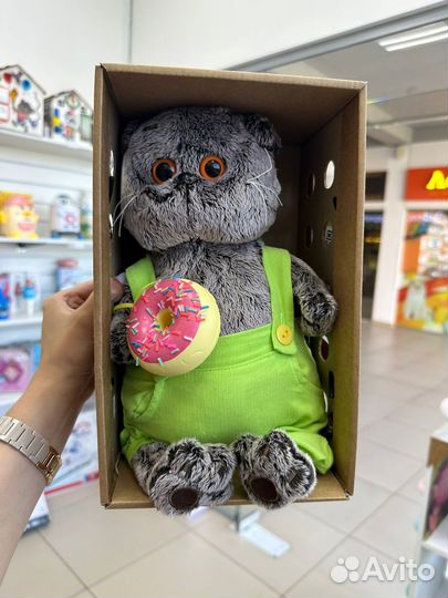 Коты басики