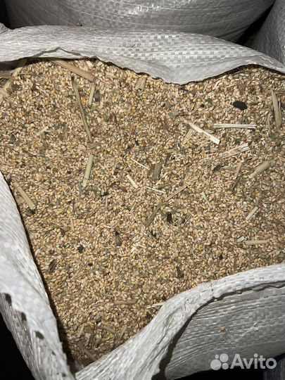 Отходы просо