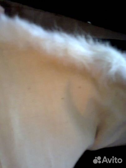 Зимняя одежда на мальчика