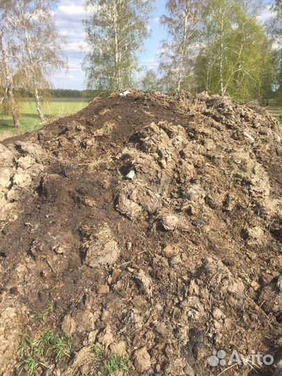 Навоз коровий перегной