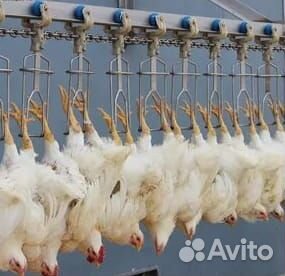 Рабочий/Птицефабрика/Самарская обл(п.Садгород)