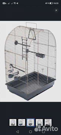 Волнистый попугай с клеткой