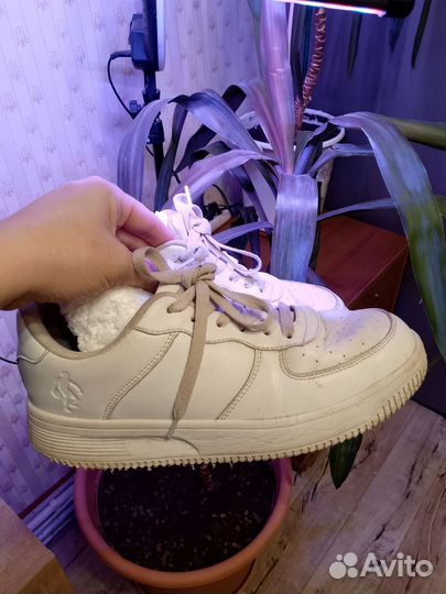 Кеды кроссовки Tom.Farr