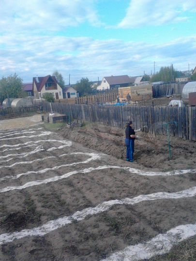 Участок 8 сот. (СНТ, ДНП)