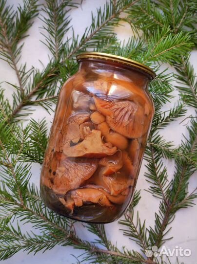 Грибы маринованные