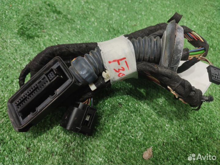 Проводка двери задняя Bmw 320I F30 N20B20 2012