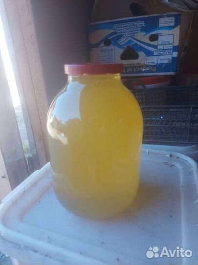 Продаётся мед майский, горный. есть опт