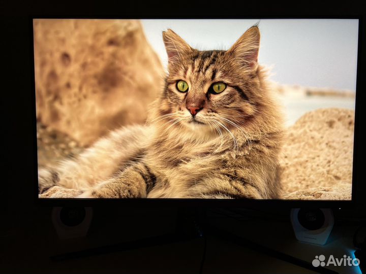 Монитор asus ROG Swift PG329Q 32 90lm06l0-b01170