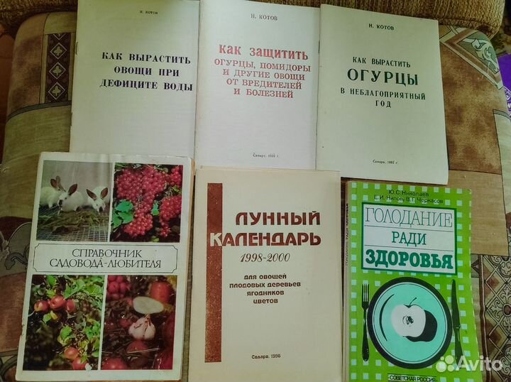 Лекарственные растения травы ягоды грибы