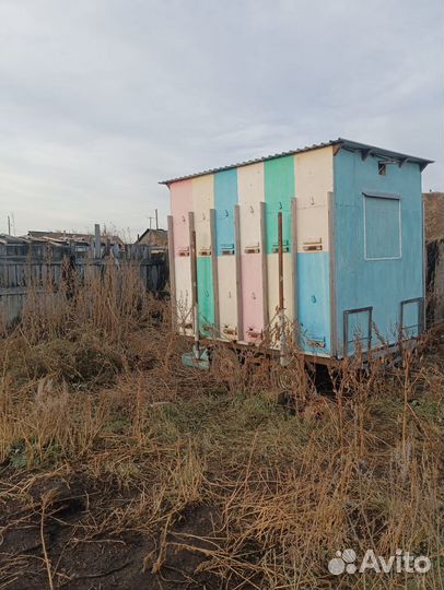 Пчелопавильон