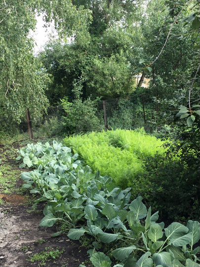 Дом 60 м² на участке 10 сот.