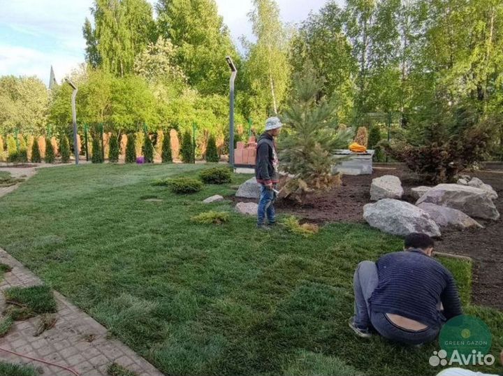 Качественный газон премиум