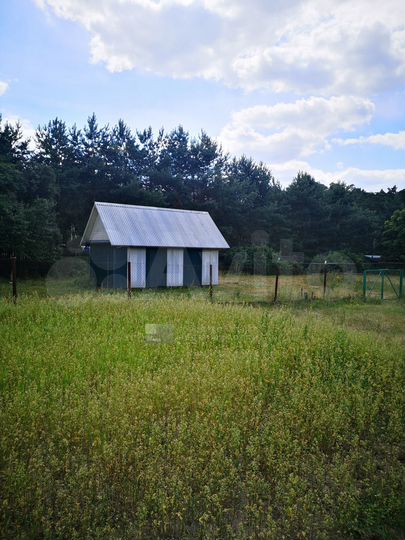 Участок 60 сот. (личное подсобное хозяйство (лпх))