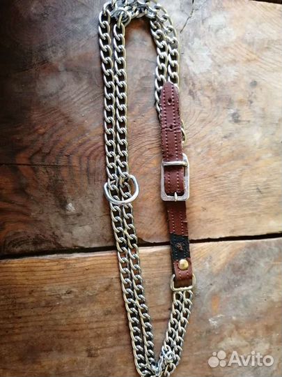 Амуниция для собак