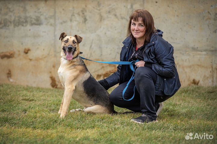 Арнольду нужен дом