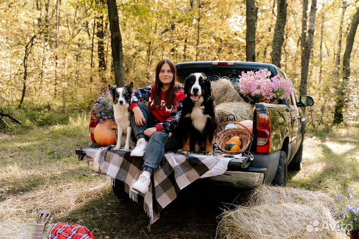 Кинолог, дрессировка собак Comfort Dog