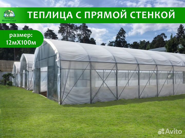 Теплица с прямой стенкой 9,6х100м