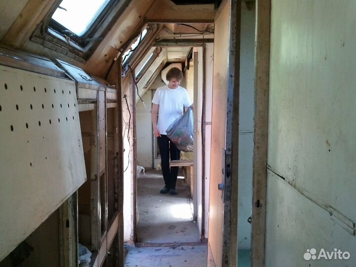 Кунг армейский