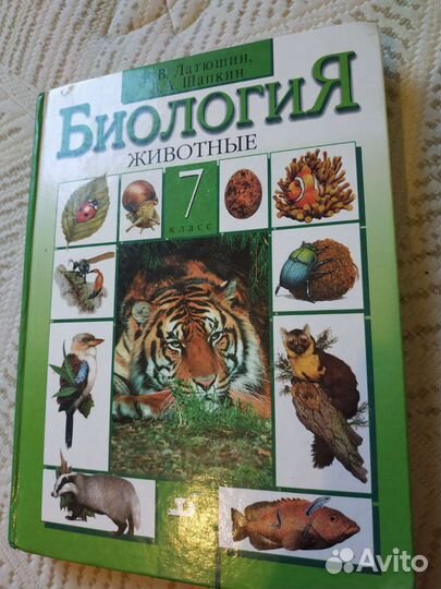 Учебники 6-7 класс