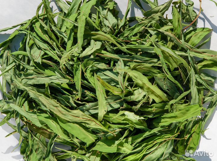 Иван-чай лист (кипрей), сушеный, 50г