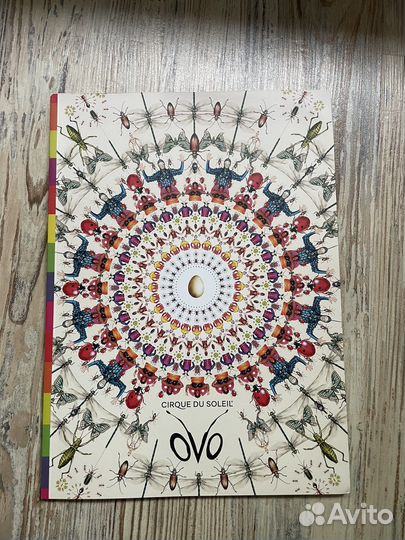 Пограмка цирк дю солей. OVO cirque du soleil
