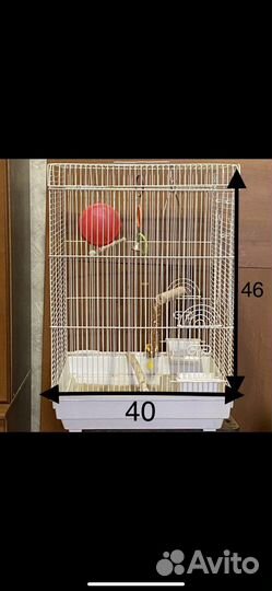 Клетка для птиц