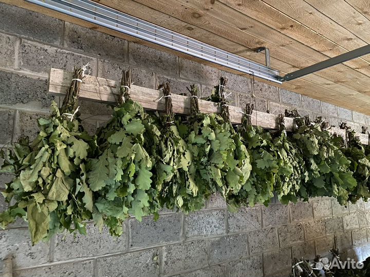 Веник из дуба