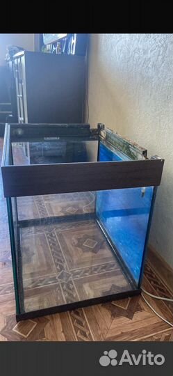 Фильтр для аквариума, Аквариум