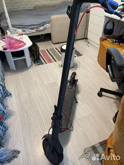 Электросамокат xiaomi m365 pro