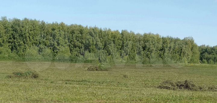Участок 60 сот. (ИЖС)