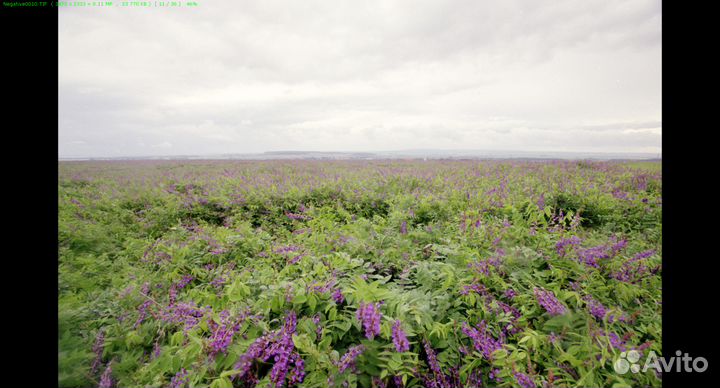 Оцифровка/Сканирование 35мм плёнки