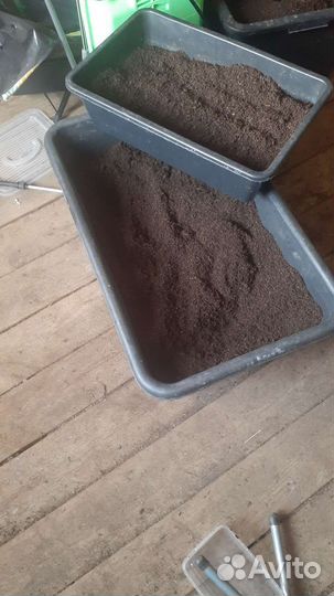 Биогумус от червей