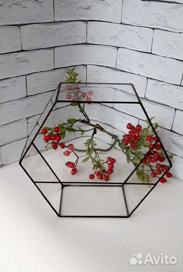 Флорариум геометрический