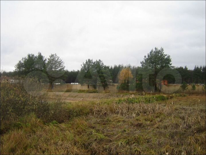 Участок 96 сот. (СНТ, ДНП)