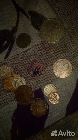 Коллекционер монеты