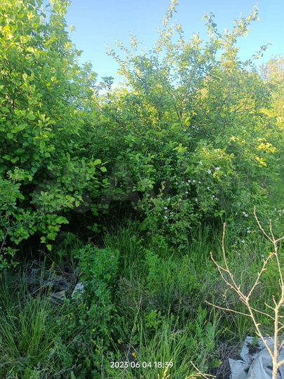 Дача 25 м² на участке 10 сот.